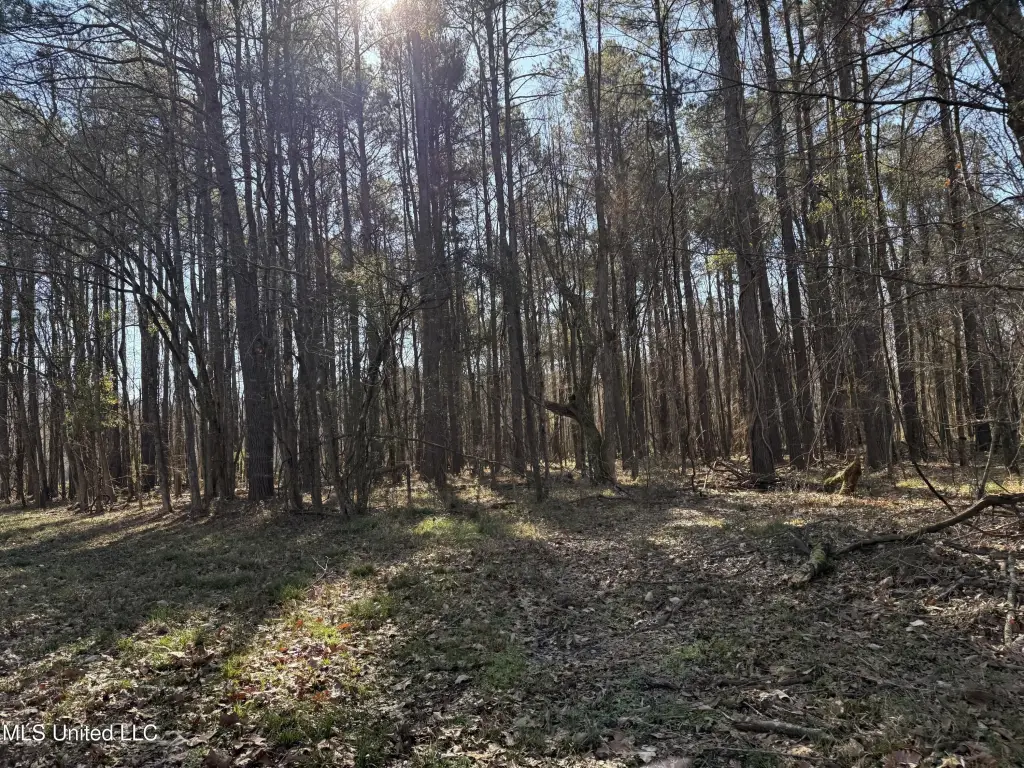 Picture 41