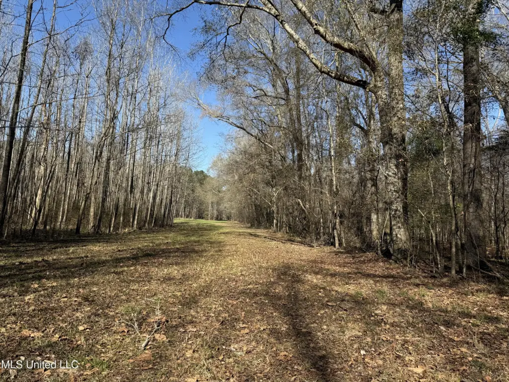 Picture 31