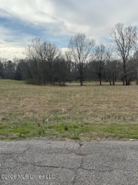 Vacant Land Near the Lake