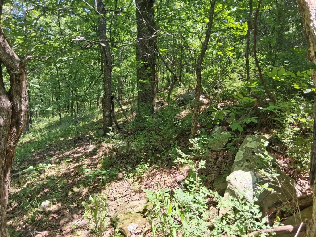 Picture 16