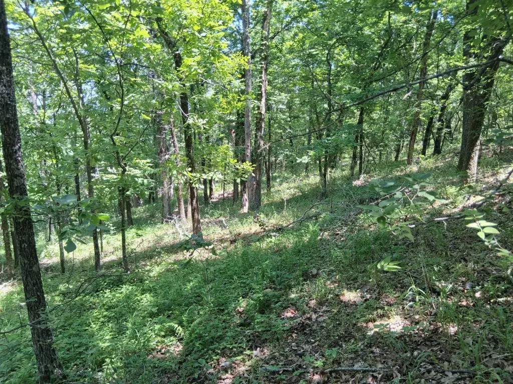 Picture 15