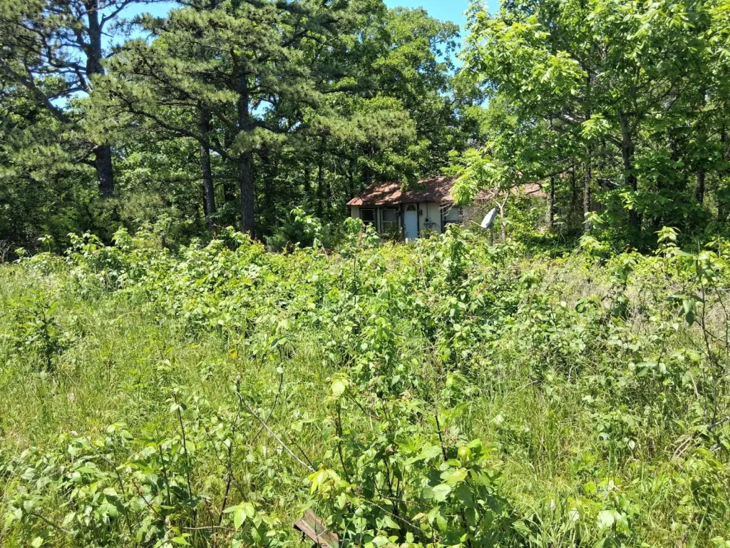 Picture 4