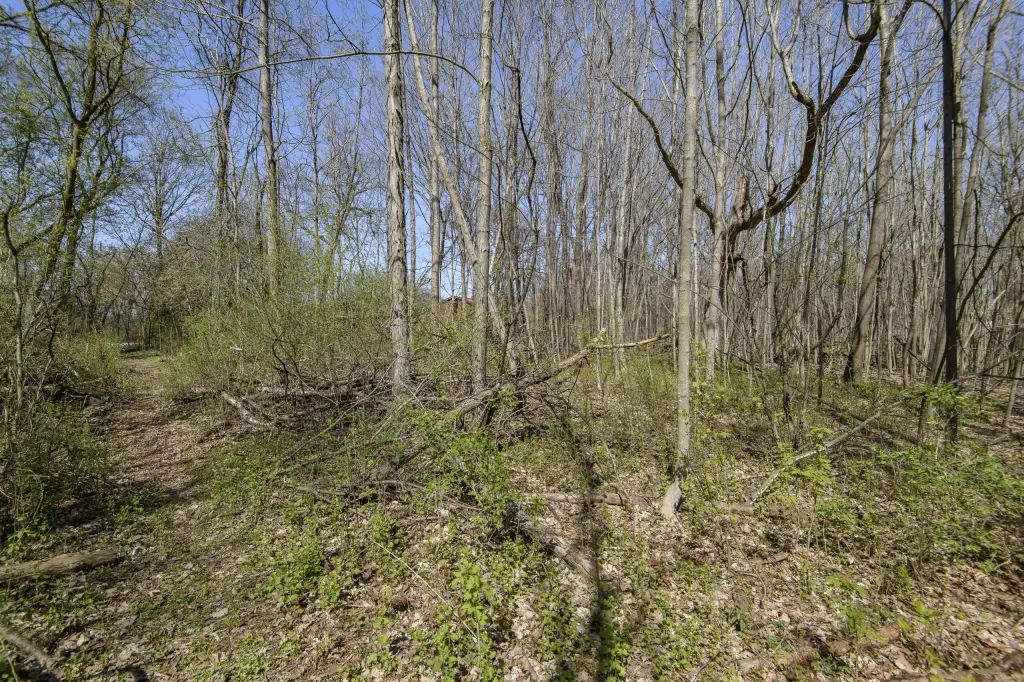 Picture 7