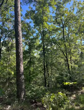 Wooded Land in Red Oak, OK