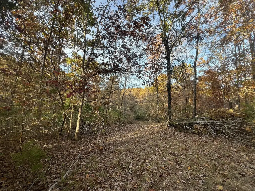 Picture 18