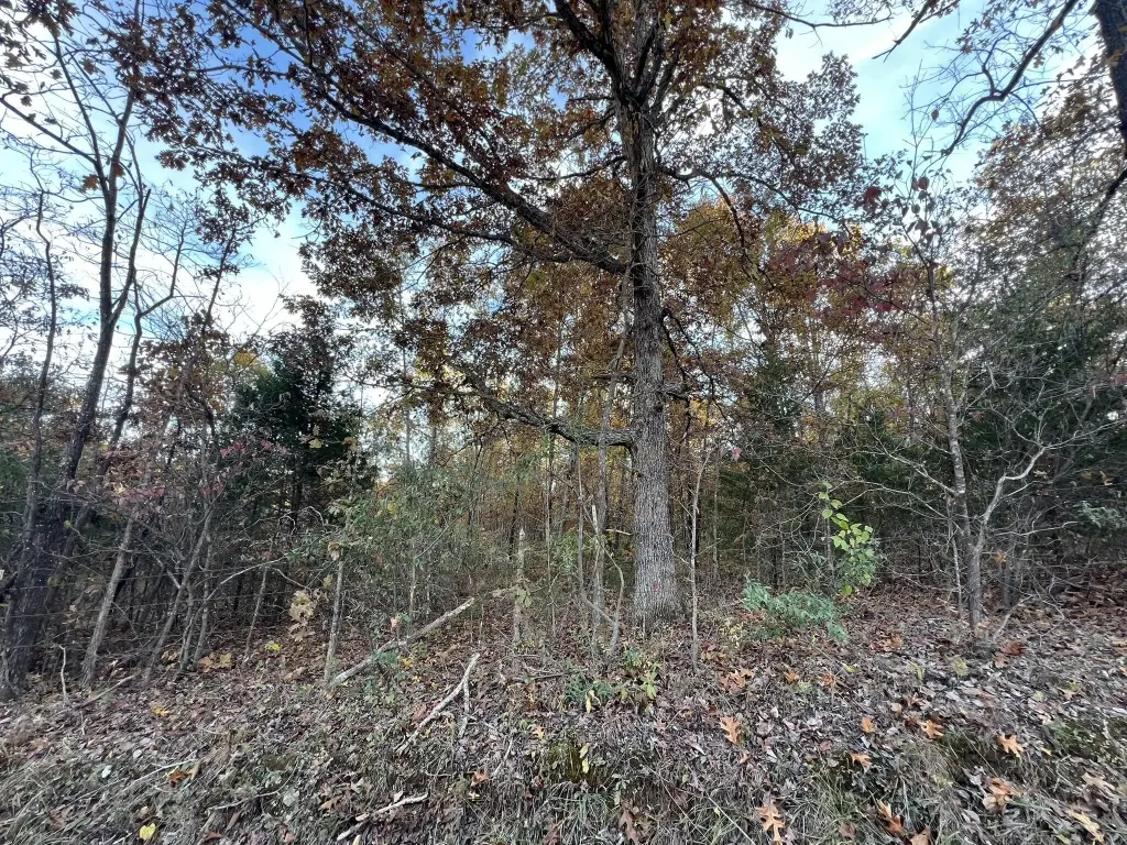 Picture 25