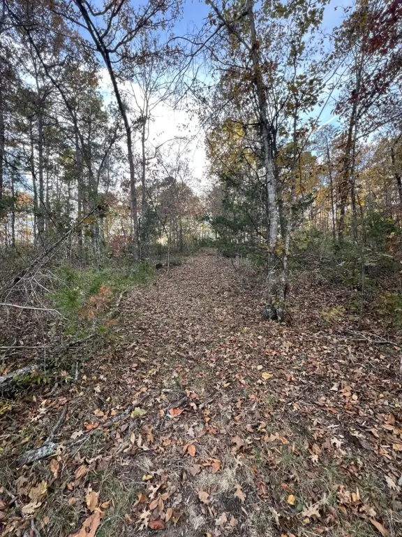 Picture 22