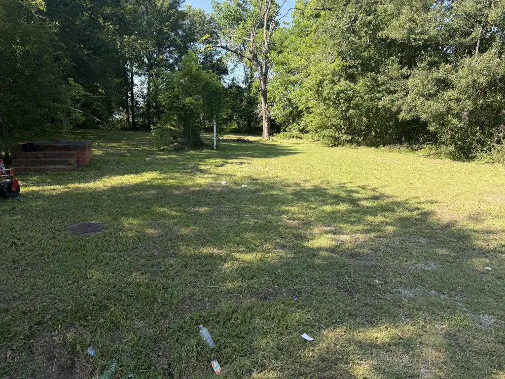 Picture 2