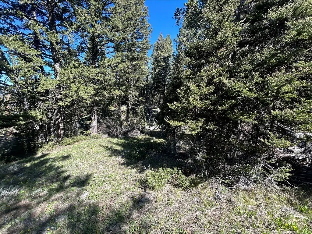 Picture 19