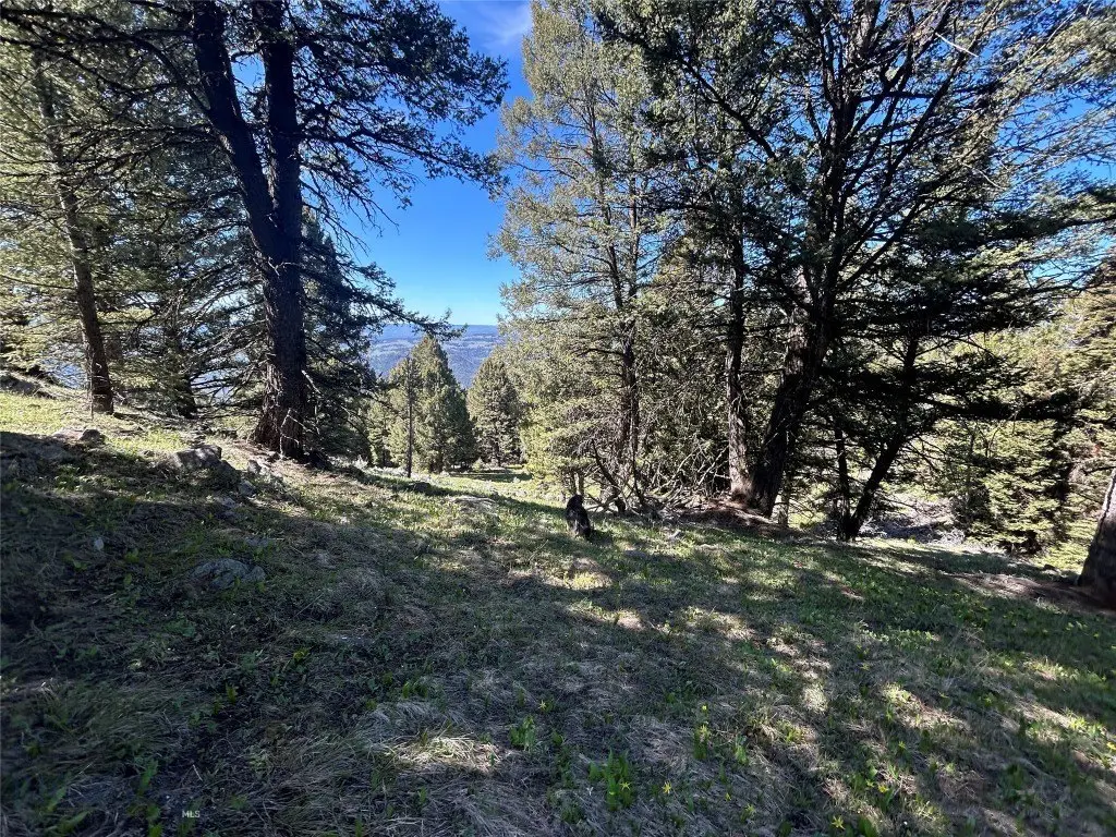 Picture 20