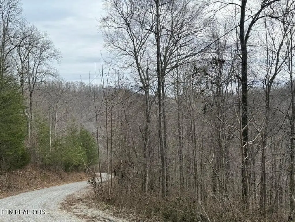 Picture 3