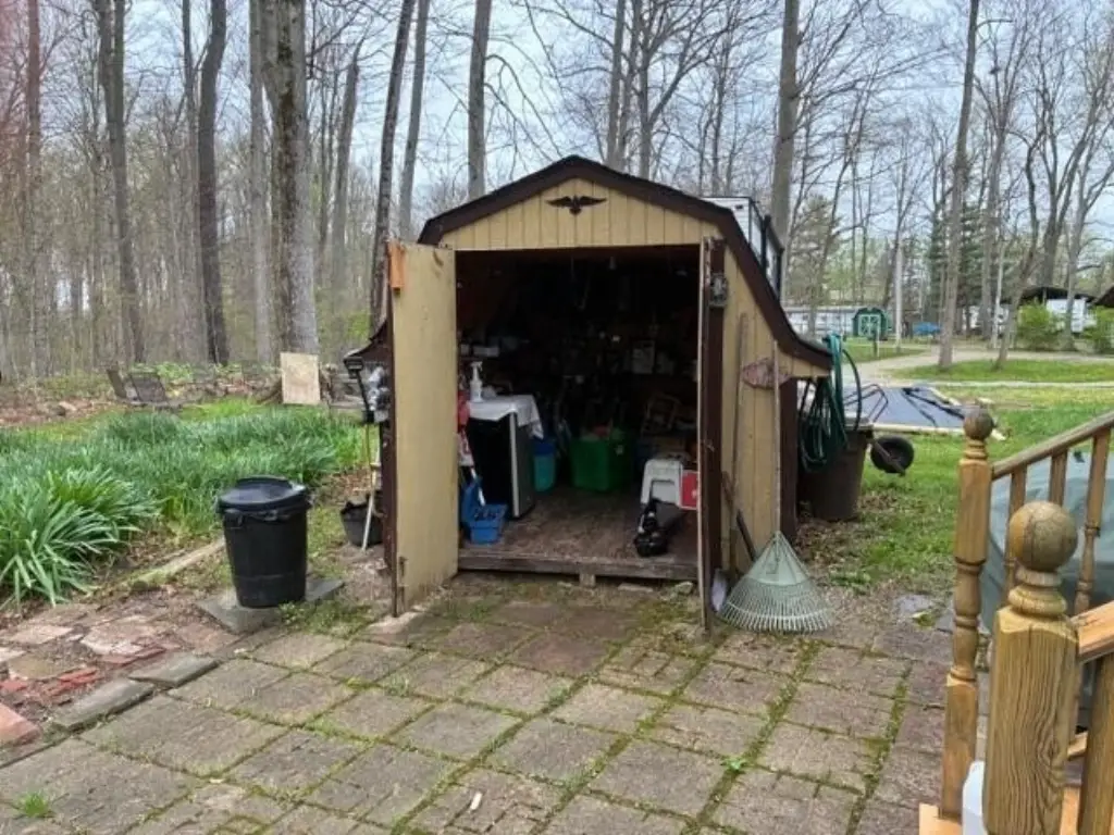 Picture 5