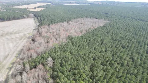 22 Acres Hunting/Recreational Land