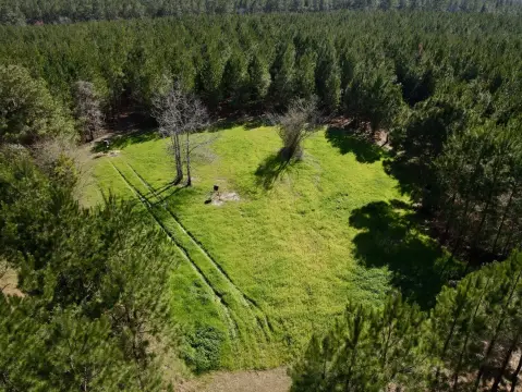 Versatile Land with Highway Frontage