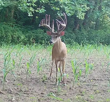 Ohio Hunting and Recreational Farm