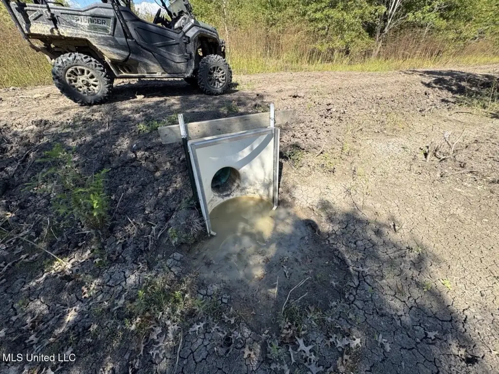 Picture 23