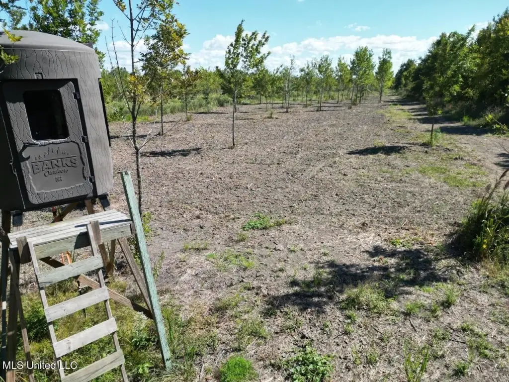 Picture 10