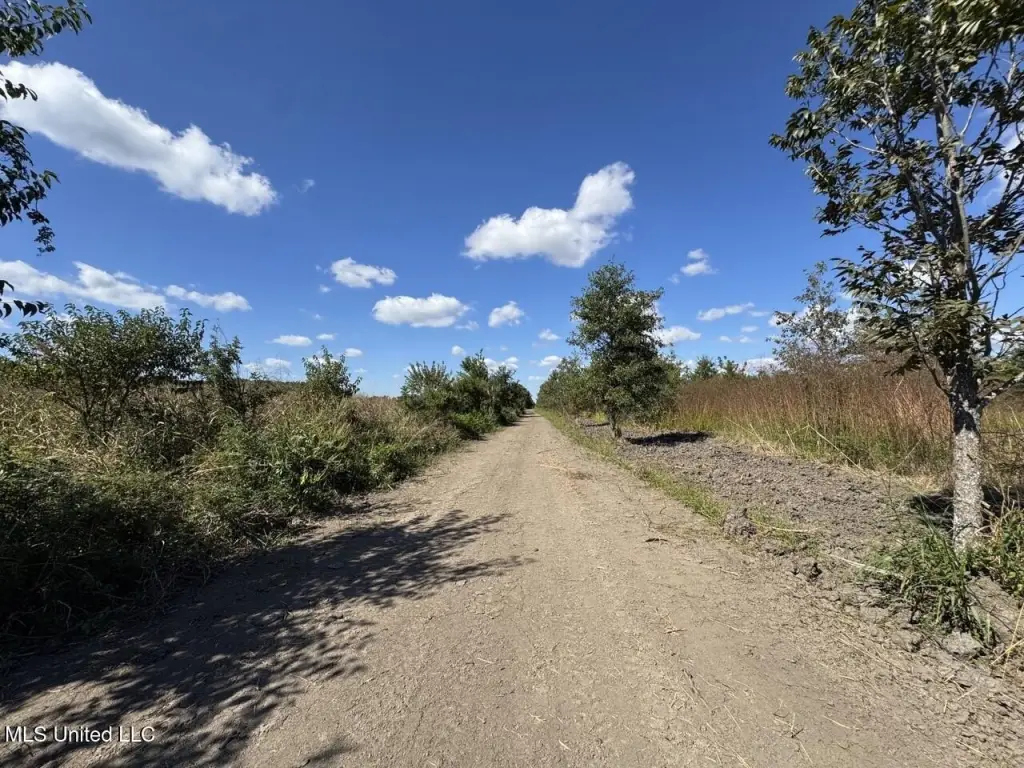 Picture 20