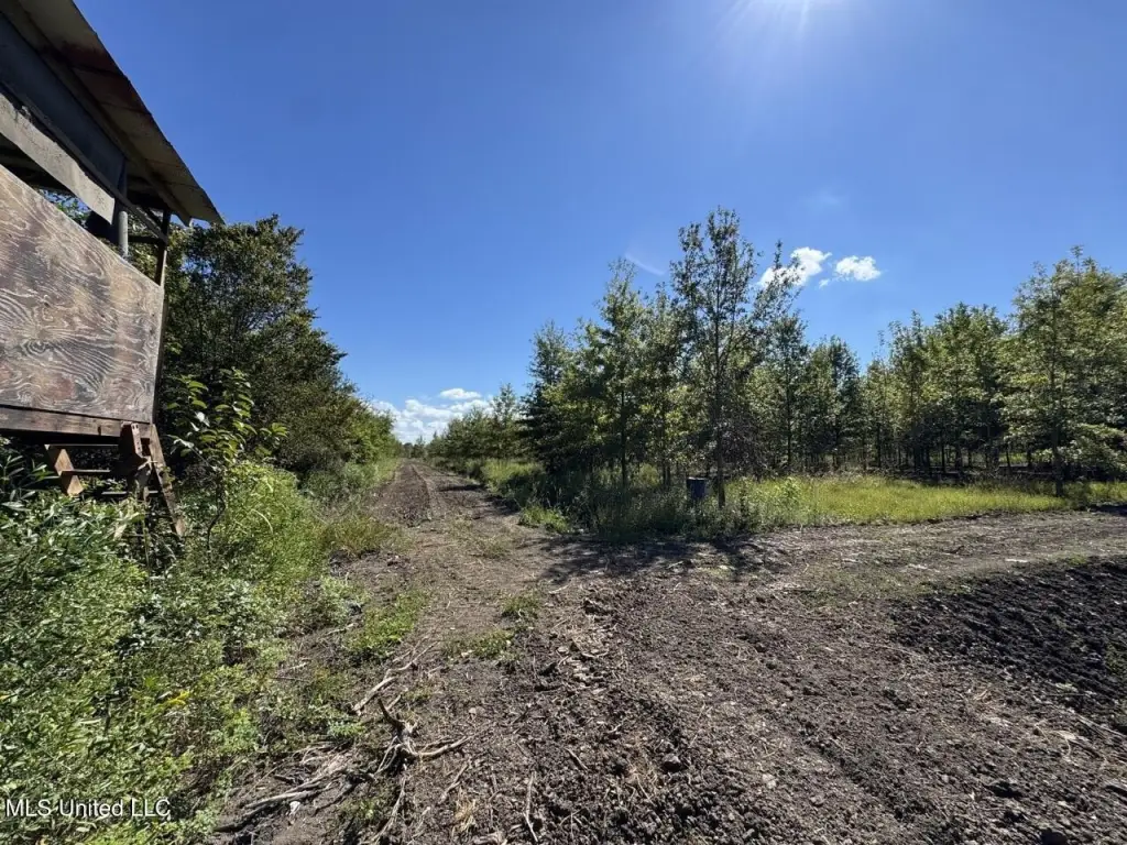 Picture 24