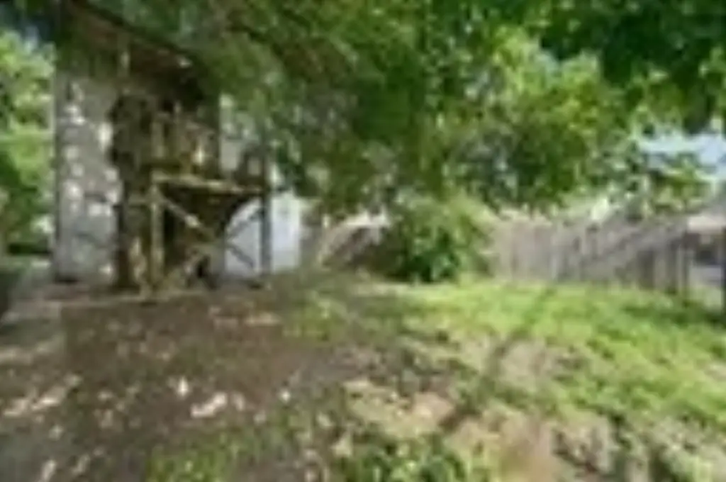 Picture 23