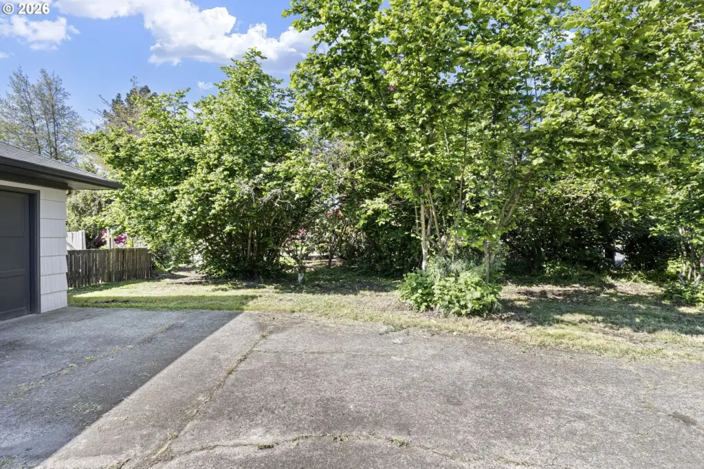 Picture 25
