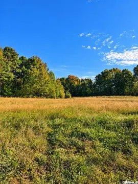 Land with Timberland