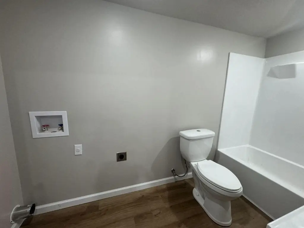 Picture 5