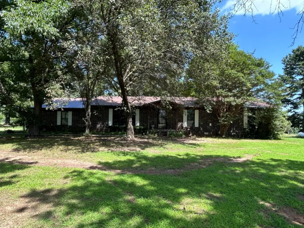 Picture 41