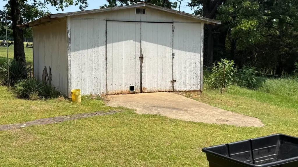 Picture 21