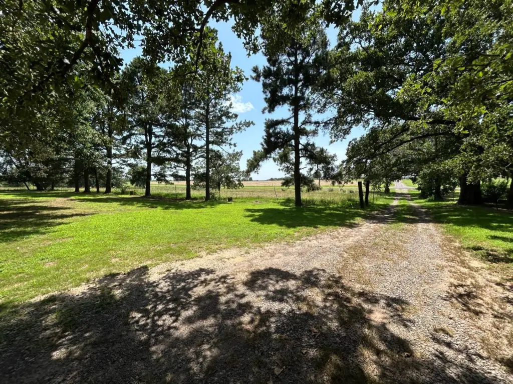 Picture 40