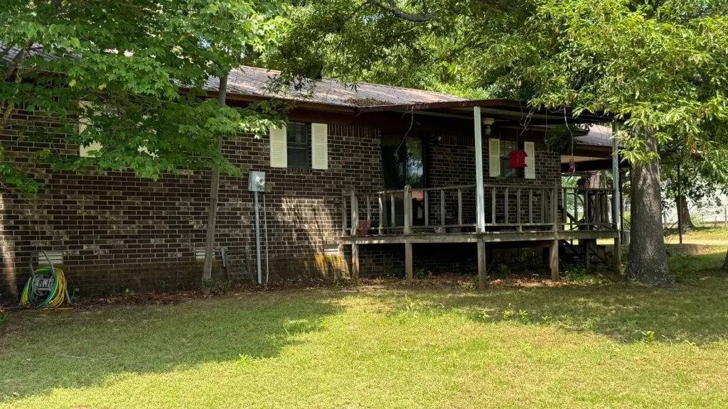 Picture 19