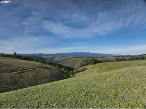 30+ Acre Parcel with Views