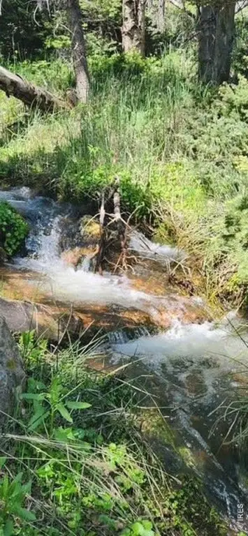 Picture 21
