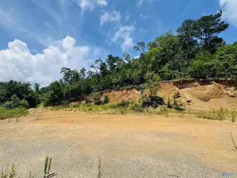 21.85 Acres in Eva, Alabama