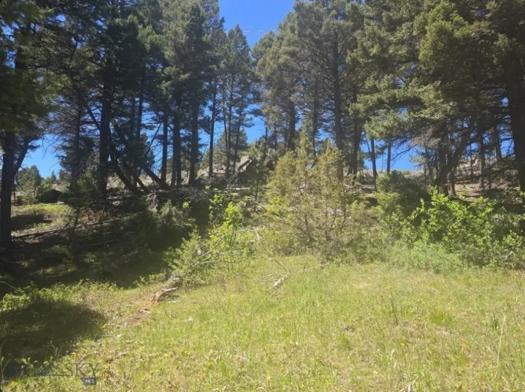 Picture 12