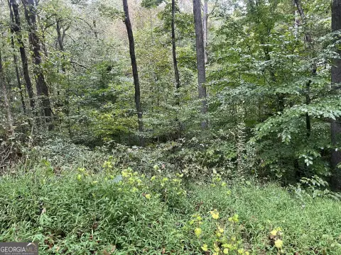 Land Near Lake Lanier, Cumming