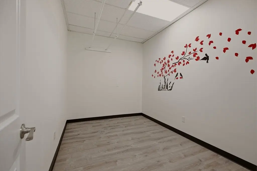Picture 8
