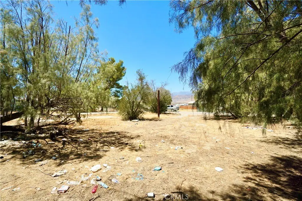 Picture 5