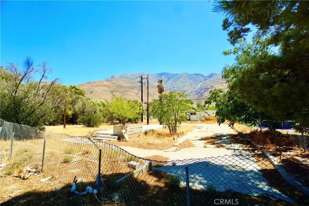 Picture 3