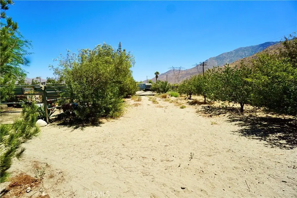 Picture 30