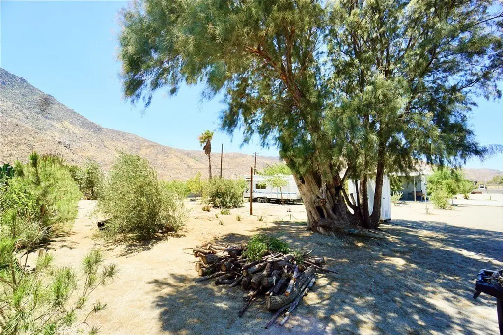 Picture 9