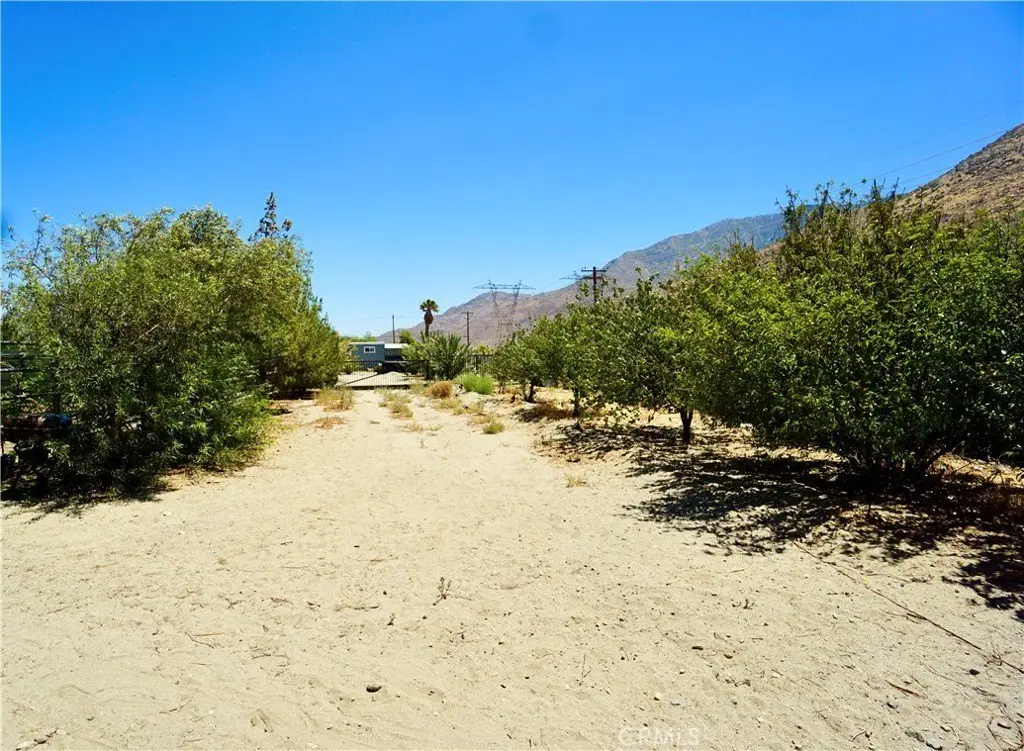 Picture 31