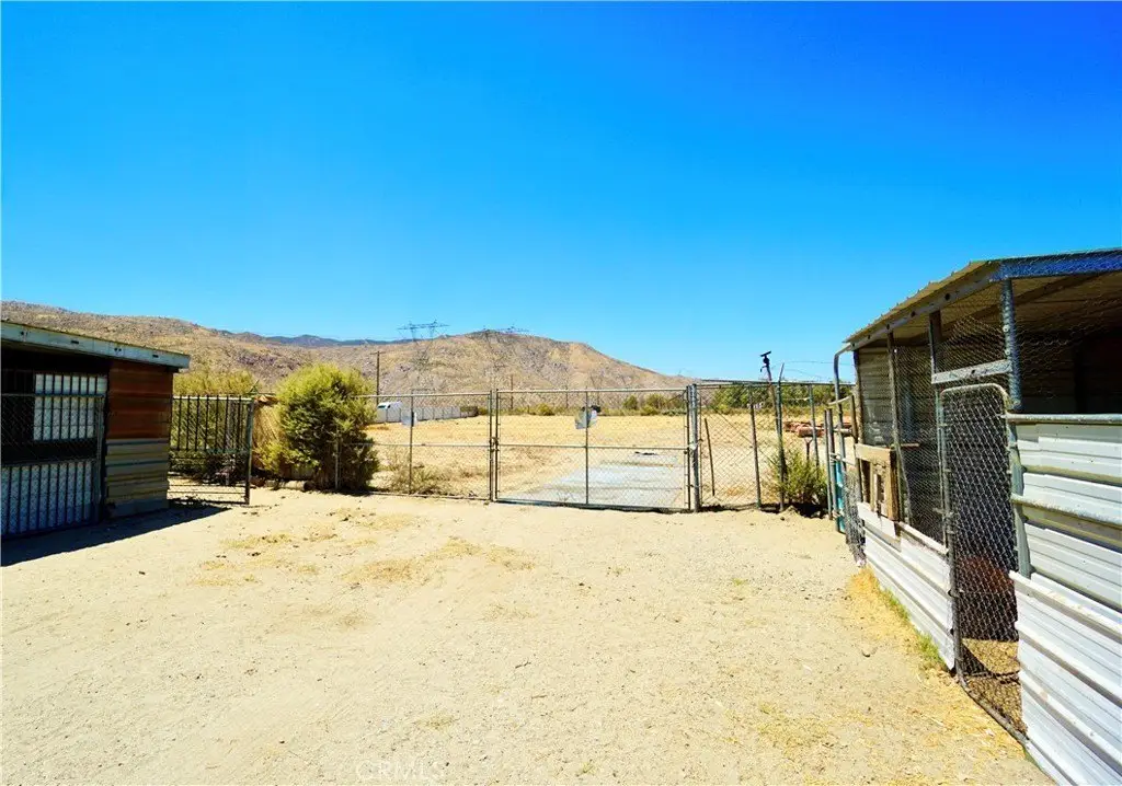 Picture 21