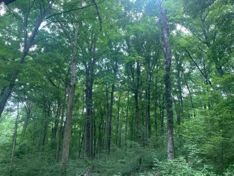 Residential Land Near Hoosier Forest