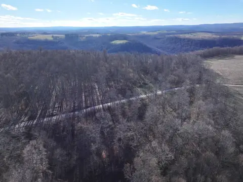Confluence, PA Vacant Wooded Land