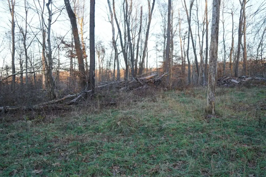 Picture 38