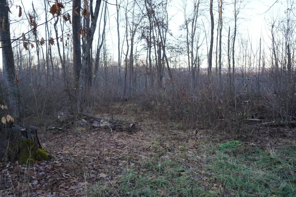 Picture 39