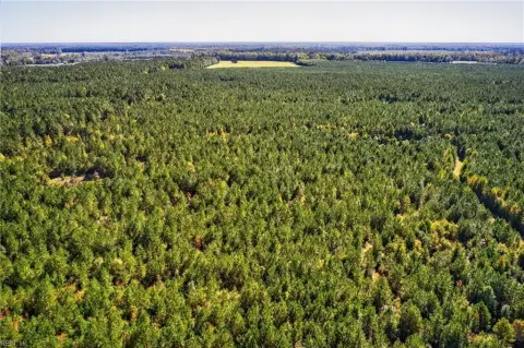 Sprawling 572-Acre Suffolk Tree Farm