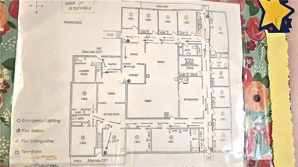 Picture 4