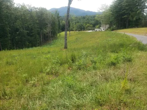 Unrestricted Land in Young Harris